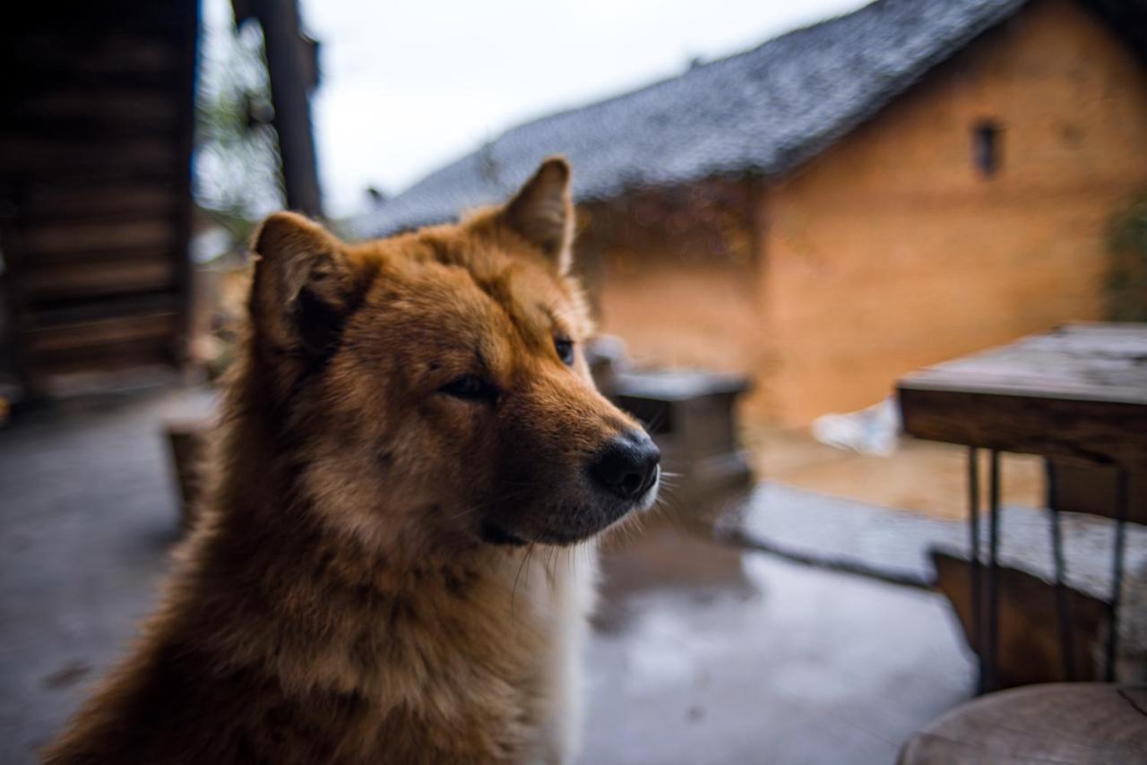 Ma Le Homestay Dong Van (Ha Giang) Exterior foto